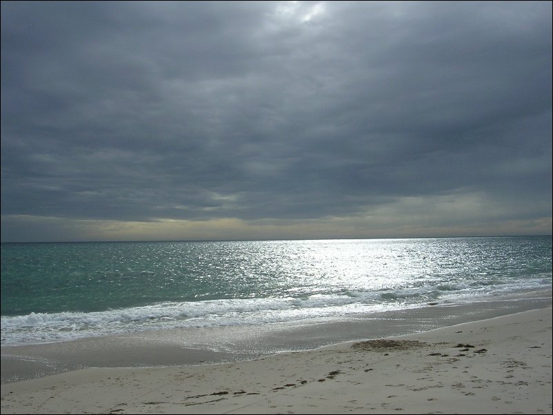 DSCN1458.JPG