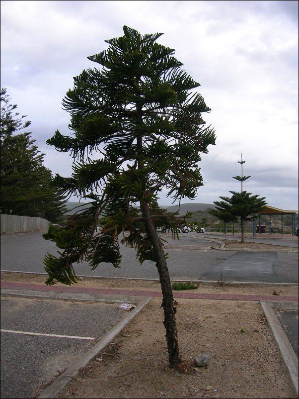 DSCN1462.JPG