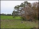 DSCN0962.JPG
