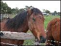 DSCN0974.JPG