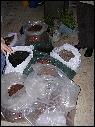DSCN1439.JPG