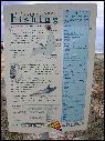 DSCN1446.JPG