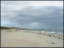 DSCN1450.JPG