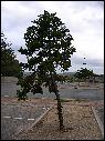 DSCN1462.JPG