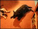 DSCN1467.JPG