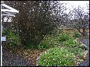 DSCN1488.JPG