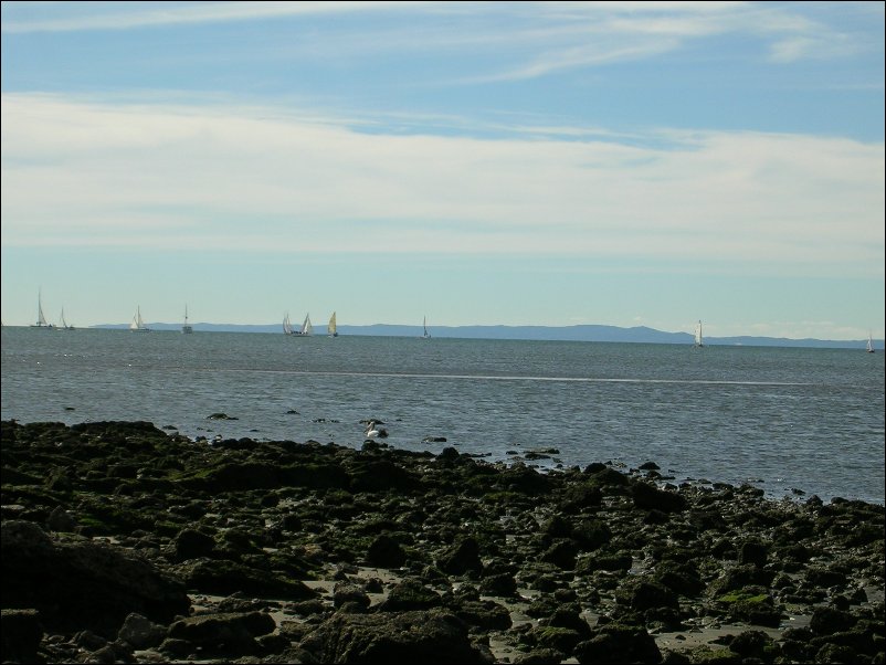 DSCN0723.JPG