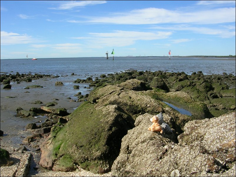 DSCN0728.JPG
