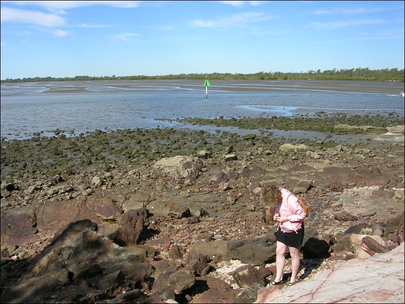 DSCN0730.JPG
