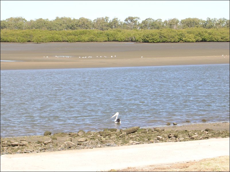 DSCN0733.JPG