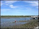 DSCN0719.JPG