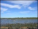 DSCN0721.JPG