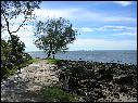 DSCN0729.JPG