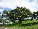 DSCN0732.JPG