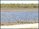 DSCN0733.JPG