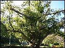 DSCN0625.JPG