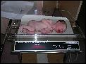 DSCN2445.JPG