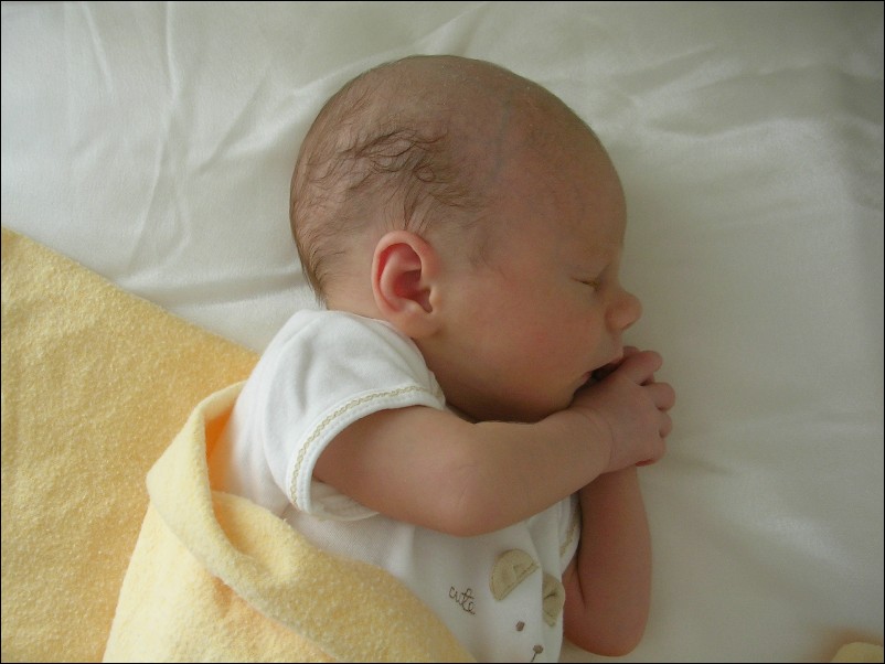 DSCN2633.JPG