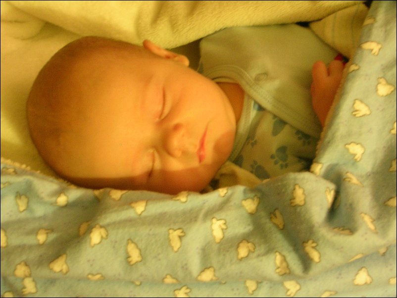 DSCN2917.JPG