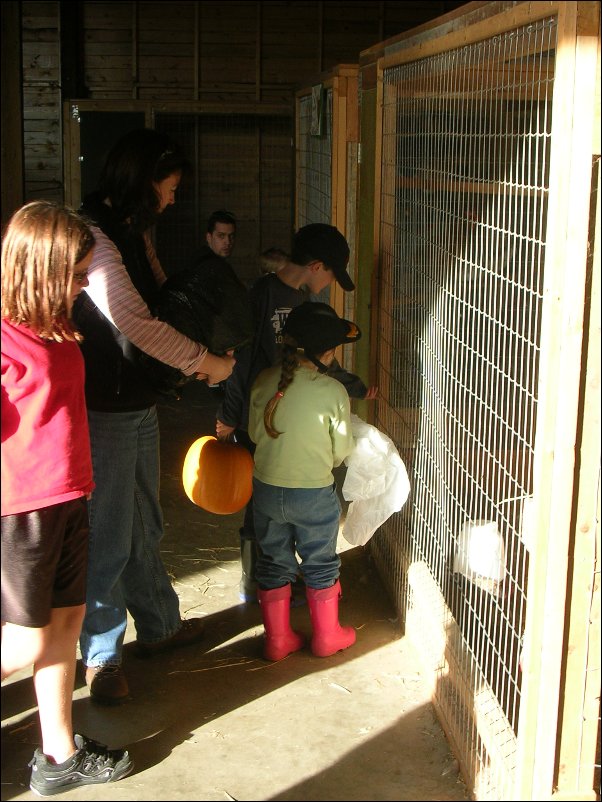 DSCN2950.JPG