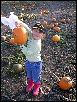 DSCN2946.JPG
