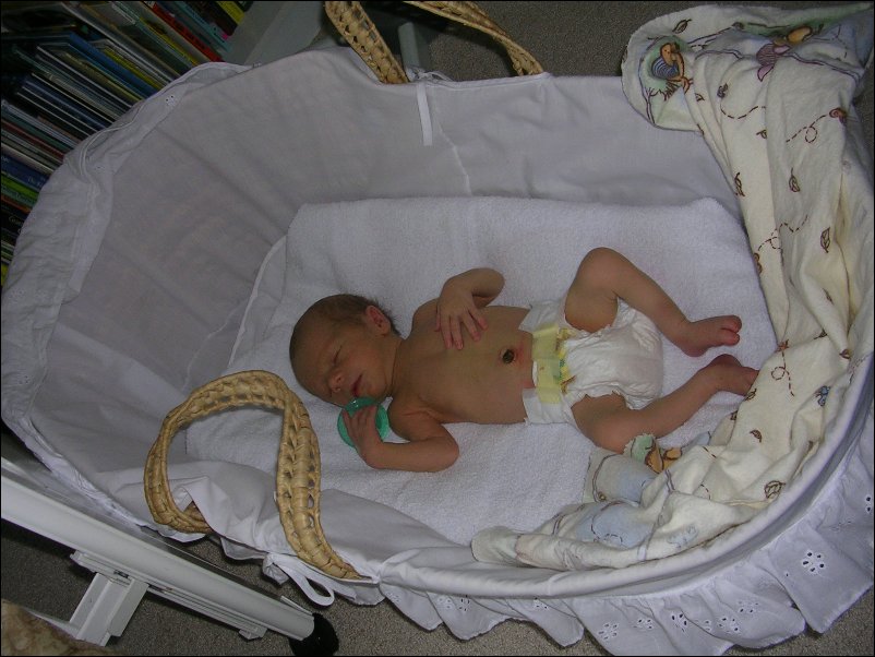 DSCN2511.JPG