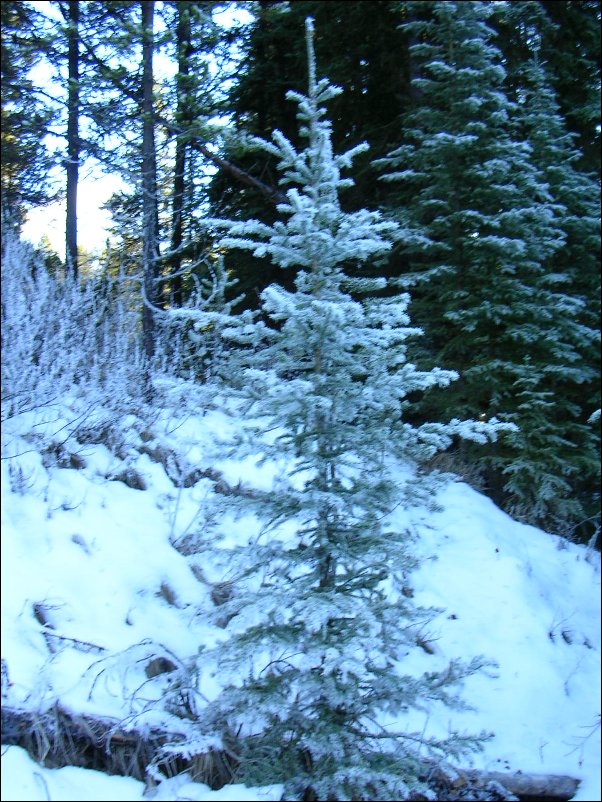 DSCN0178.JPG