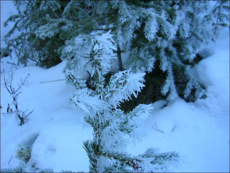 DSCN0179.JPG