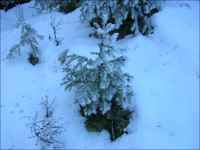 DSCN0180.JPG