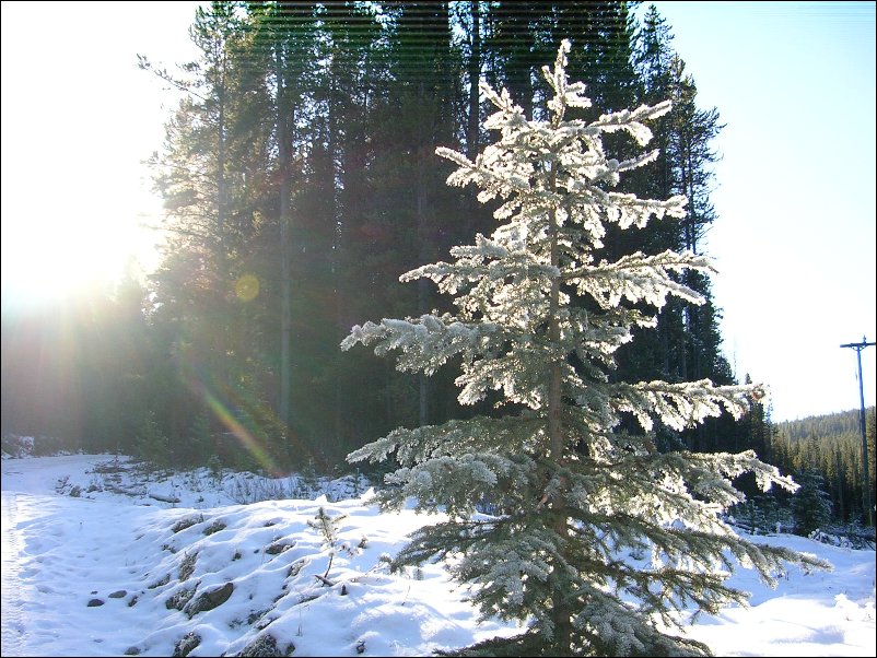 DSCN0181.JPG