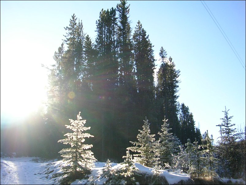 DSCN0182.JPG
