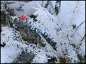 DSCN0177.JPG