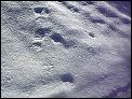 DSCN0186.MOV