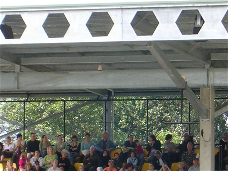 DSCN0577.JPG