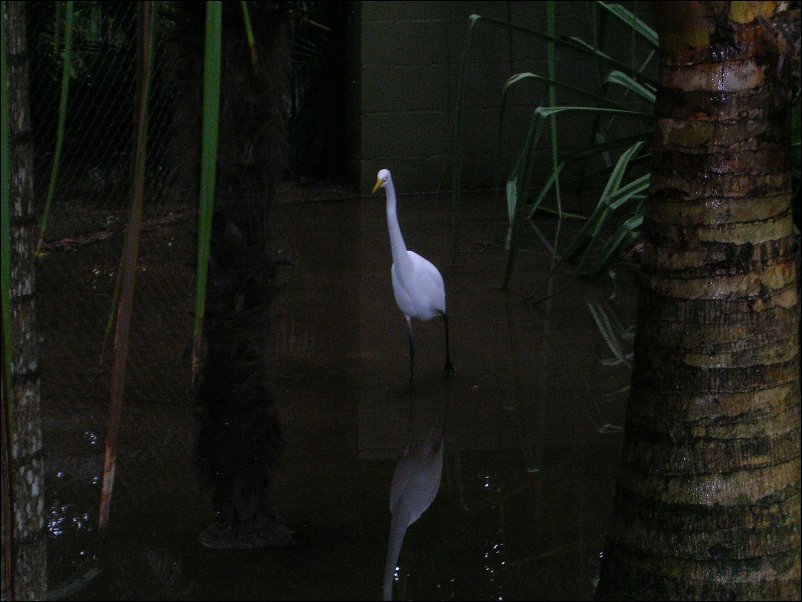 DSCN0598.JPG