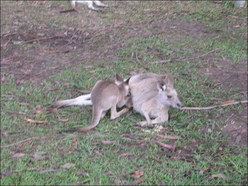 DSCN0608.JPG