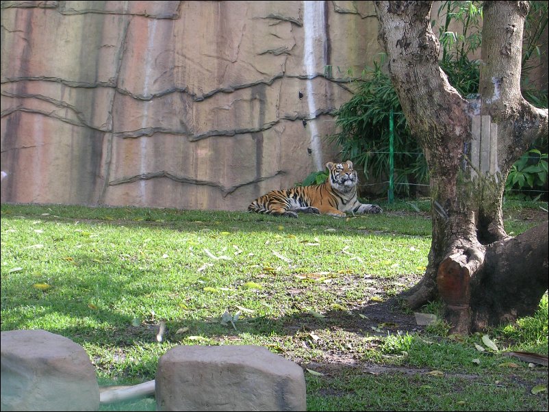 DSCN0612.JPG