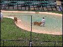 DSCN0553.JPG
