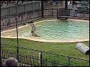 DSCN0559.MOV