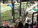 DSCN0573.JPG