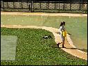 DSCN0575.JPG
