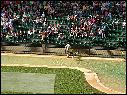 DSCN0576.JPG