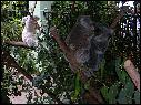 DSCN0593.JPG