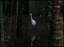 DSCN0598.JPG