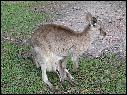DSCN0609.JPG