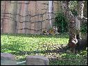 DSCN0612.JPG