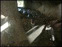 DSCN0615.JPG