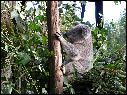 DSCN0618.JPG