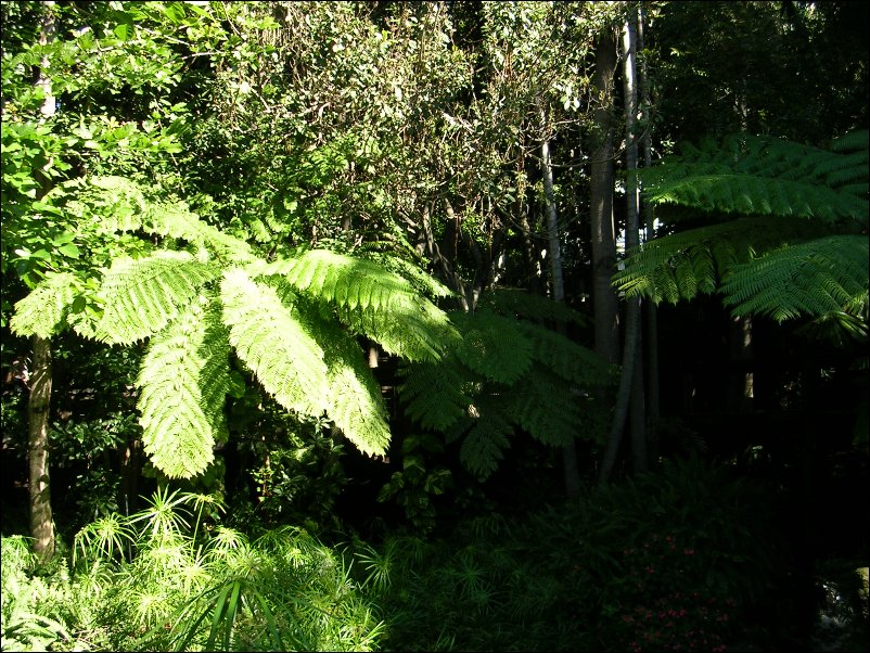 DSCN0643.JPG