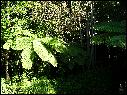 DSCN0643.JPG